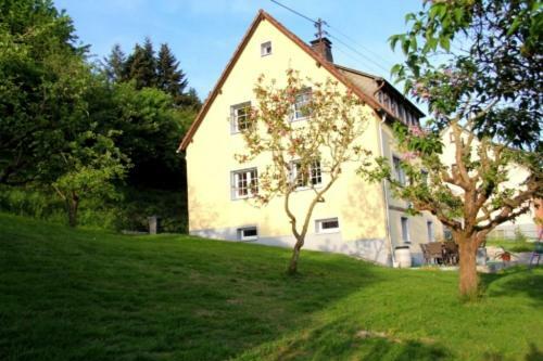 Ferienhaus Hilberath Villa Adenau Kültér fotó